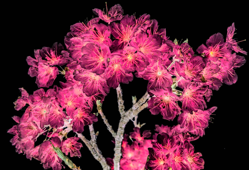 Illustration for article titled 30 Photos Taken Straight Up